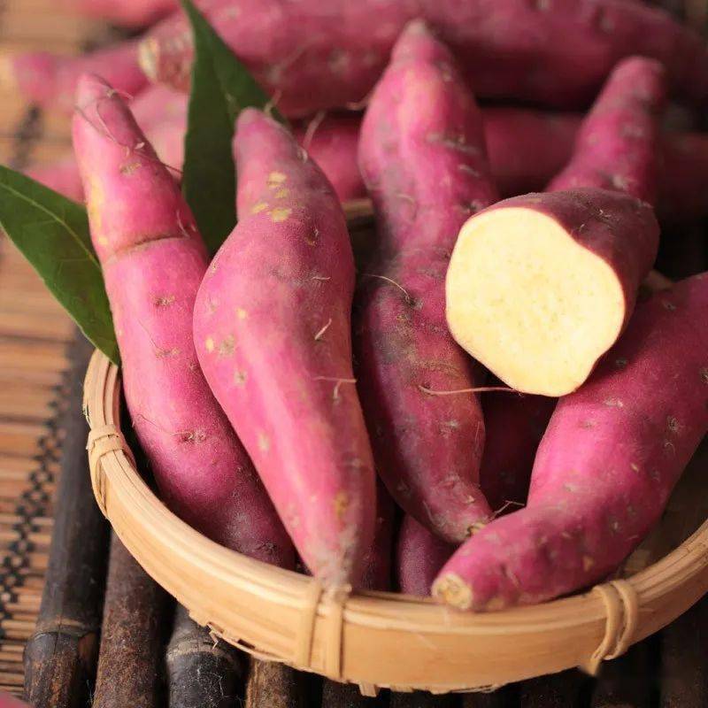 地瓜,湖南,四川叫做凉薯或良薯.