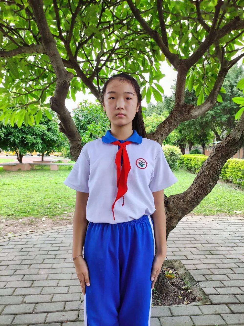 与红领巾同行展少先队风采