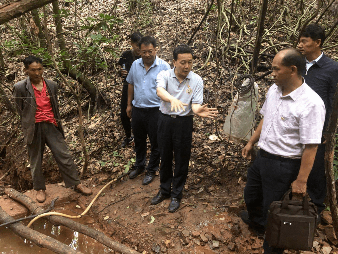 双柏县县委书记李长平到大庄镇妥甸镇带案下访