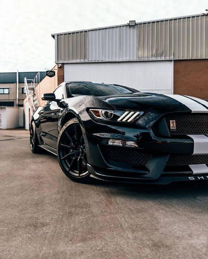 福特野马shelby gt350,终极眼镜蛇