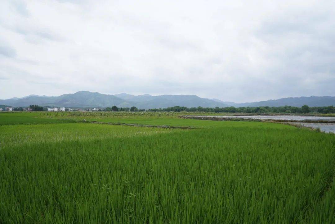 欧爸代表全国少年演讲家捐建的平田小学环形跑道已经完成从"煤渣"到"