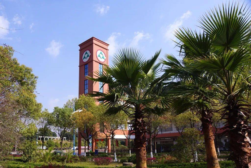 2020招生简章|临川实验学校