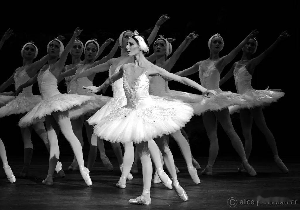 芭蕾舞壁纸 黑白图片