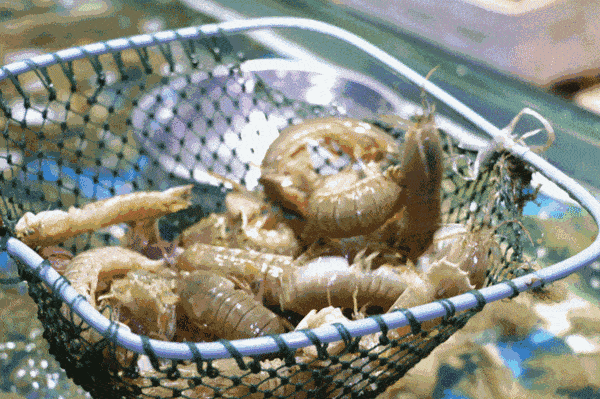 600_399gif 动态图 动图