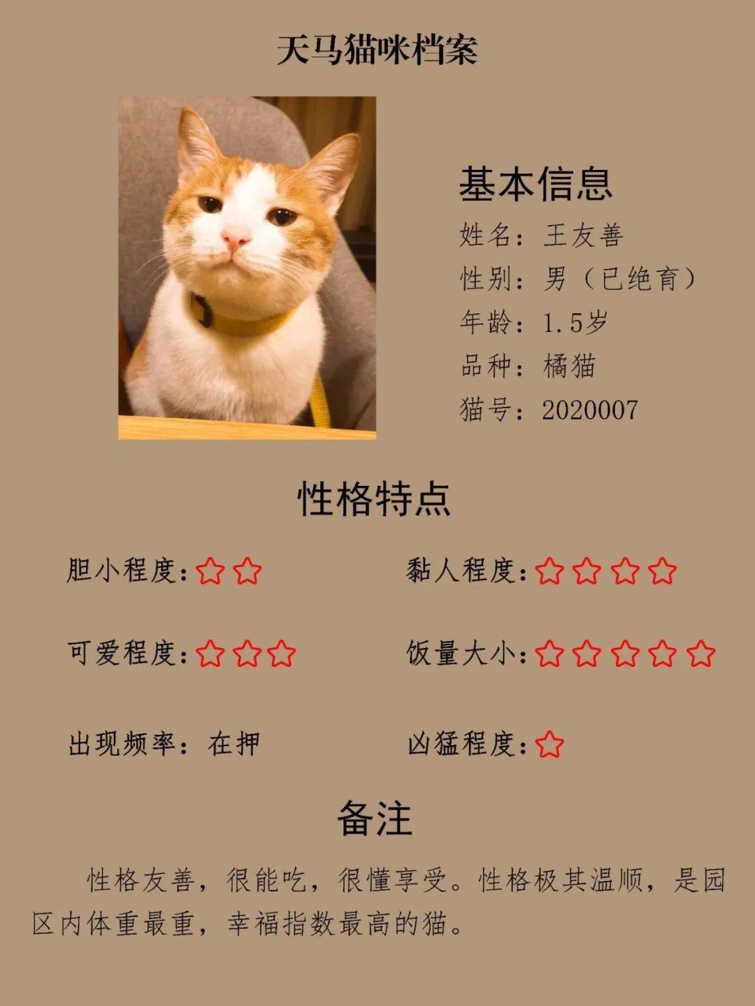 可爱!湖大一老师给流浪猫建档案