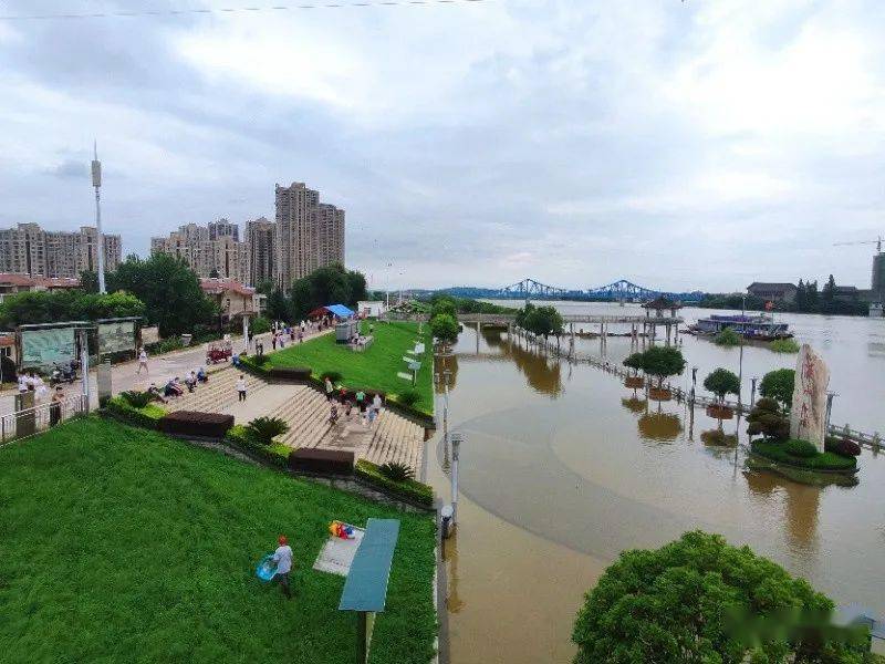 滠水河水位还在涨防汛守堤正在进行