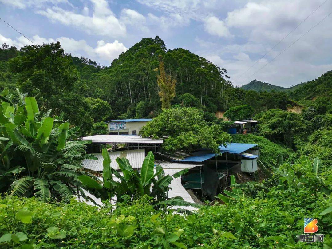 陆川温泉迎来大手笔投资博白亚山温泉为什么一直火不起来原因找到了