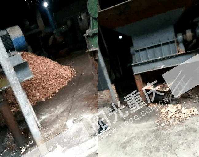 华兴骨制品加工厂内堆放的原材料散发臭味,王先生供图