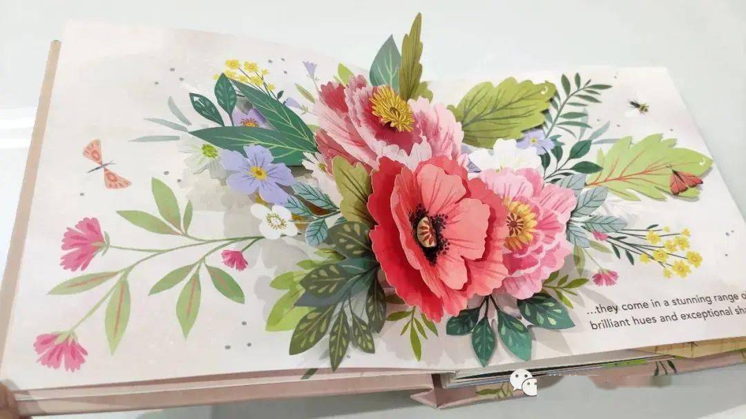 云看立体书floraabotanicalpopupbook