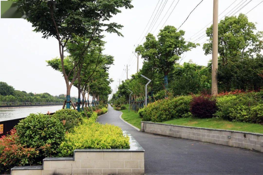 松江人又多一处滨水休闲新去处!淀浦河二期滨水景观工程开工啦