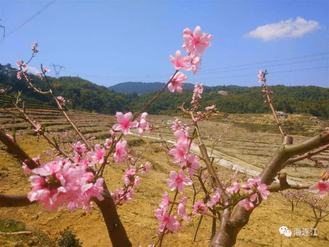 避暑清凉福地——连江长龙