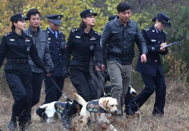 《警花与警犬》今晚播出!
