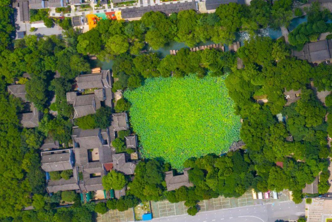 一张图带你领略水晶晶南浔