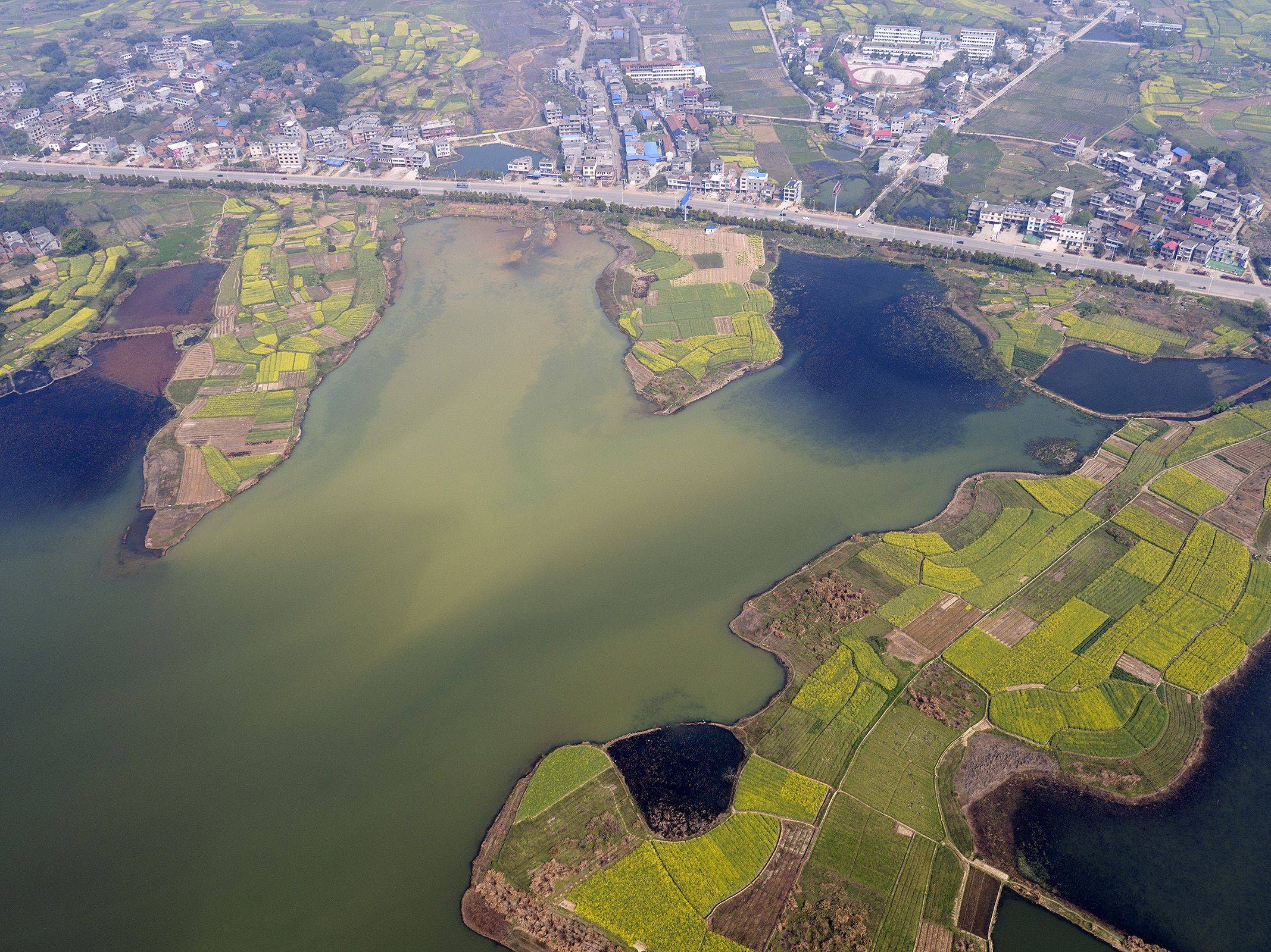 对话|高水位将影响鄱阳湖越冬水鸟,专家呼吁加强巡护