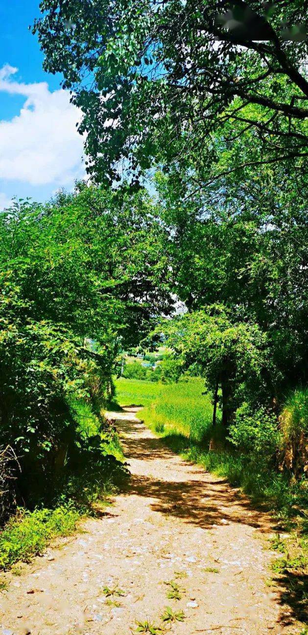 编辑:赵玲萍审核:于 荃监制:王 栋返回搜狐,查看更多