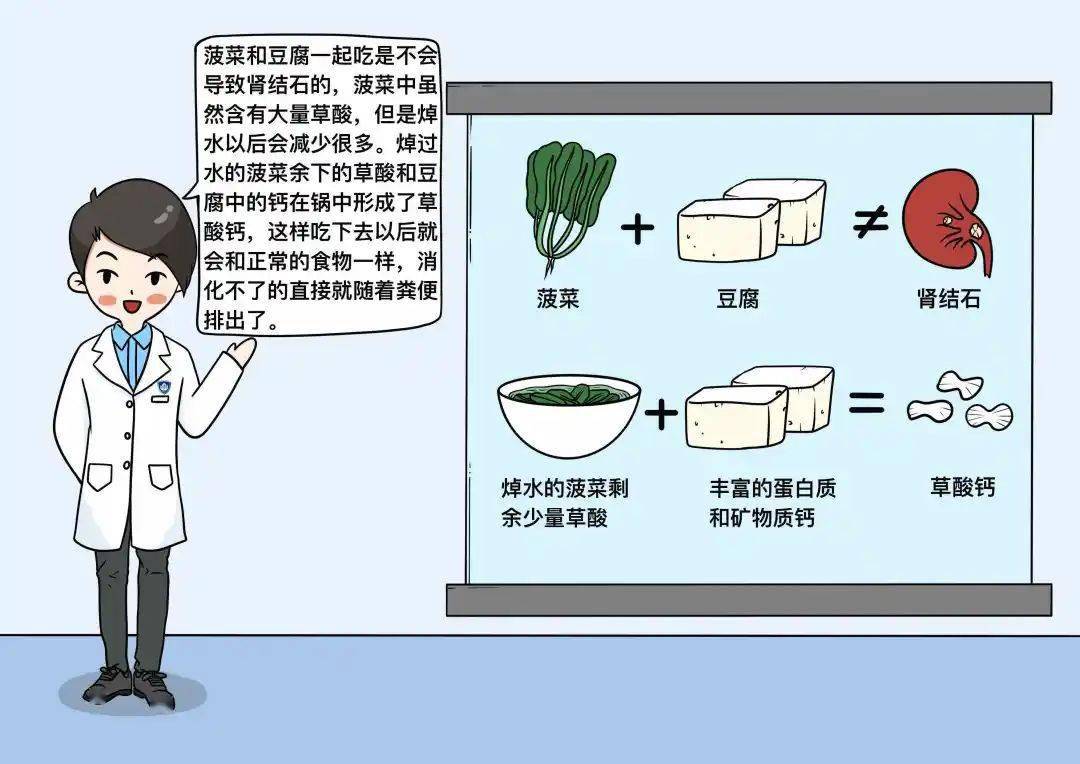 肾结石五吃三不吃图片