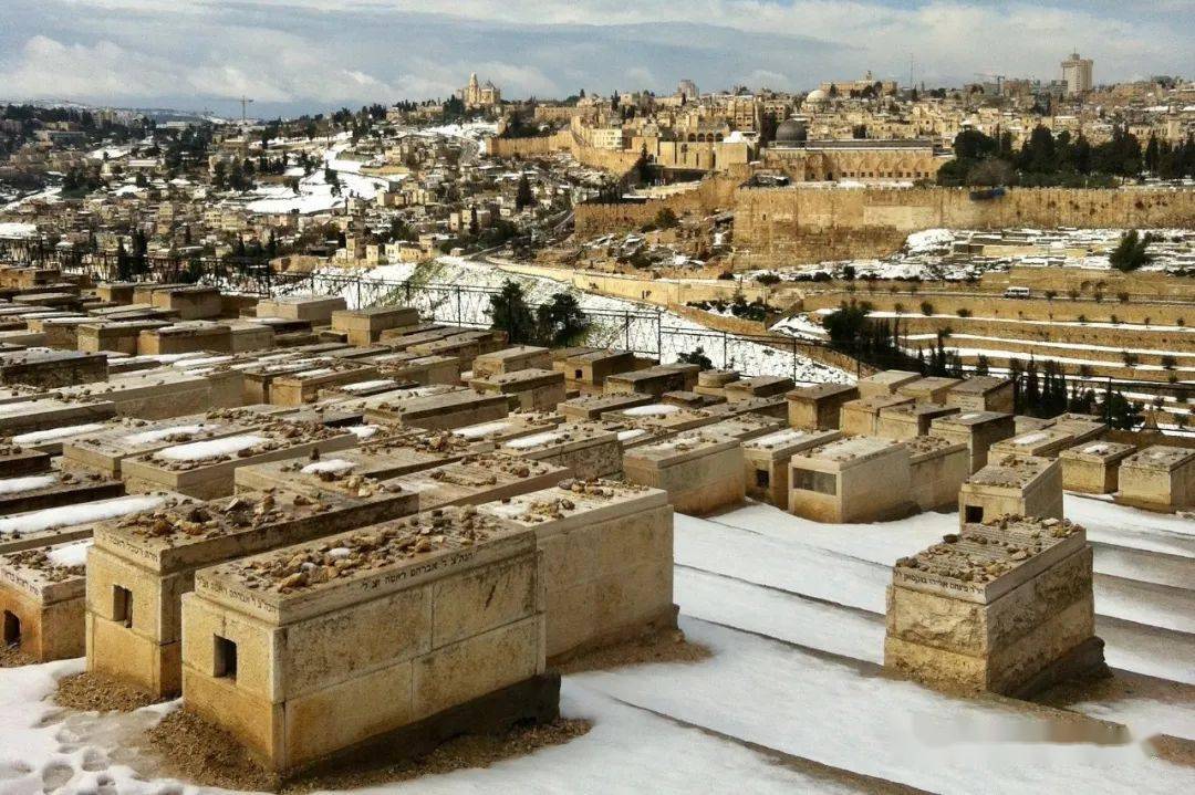 我所认识的以色列8基布兹奇迹王彪