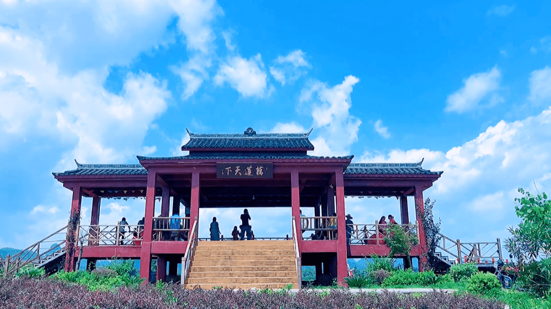 一起相约平桂区"藕莲天下",老刘偶遇佳人,万亩荷花真好看!