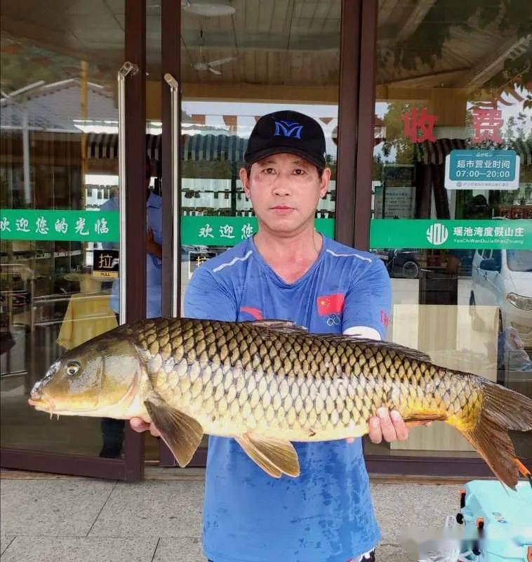 庐山西海瑶池湾爽钓大鲤大鲂