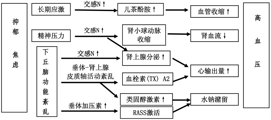 焦虑/抑郁疾病本身因素焦虑/抑郁因素导致高血压的机制no.