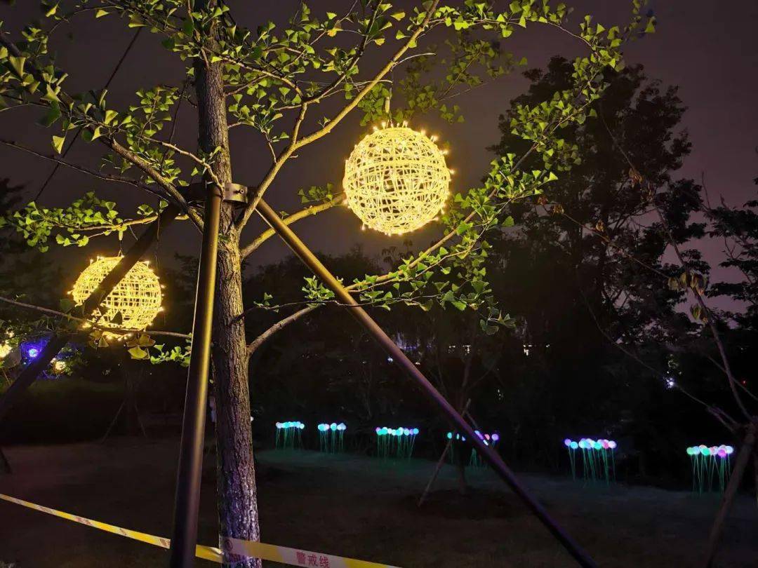 植物园灯光,火炏焱;夜市,人从众_东论