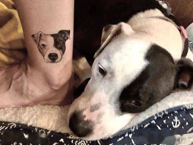 萌宠趣闻 | 一组漂亮的狗狗纹身向你袭来!