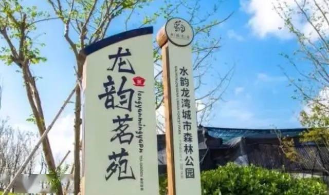 盐城荷兰花海水韵龙湾一日游一价全含