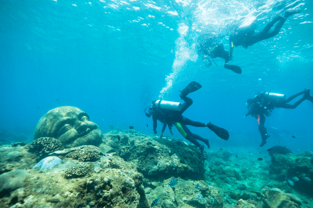 "嘿,潜水吧!"又来啦!让我们乘风破浪 勇往直"潜"!