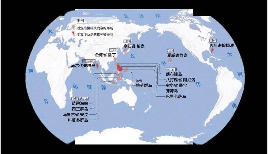 这些平平无奇的菜市场鱼类,你很难想象它们小时候美得多么难以置信