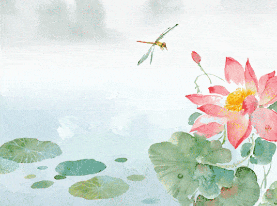 荷你相约拍荷花赢奖金2020湖泽荷花文化节摄影抖音短视频大赛喊你来pk