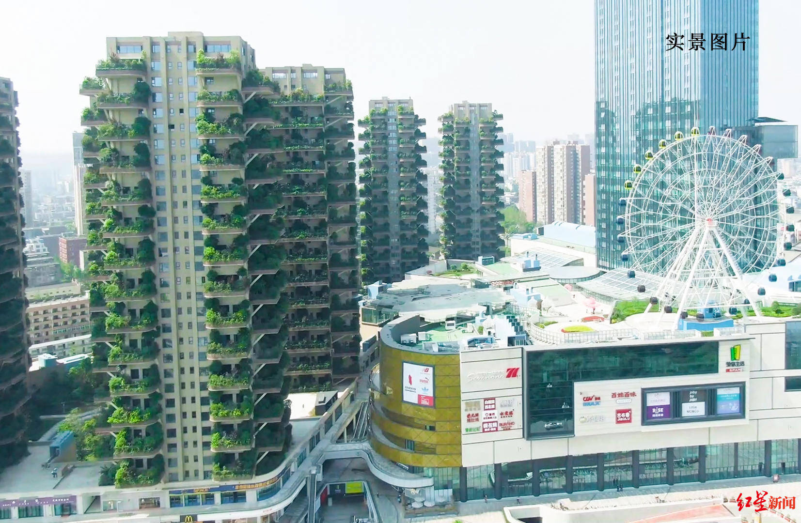 央视点赞成都首个城市森林花园建筑小区:三面环景如"垂直森林",已有人