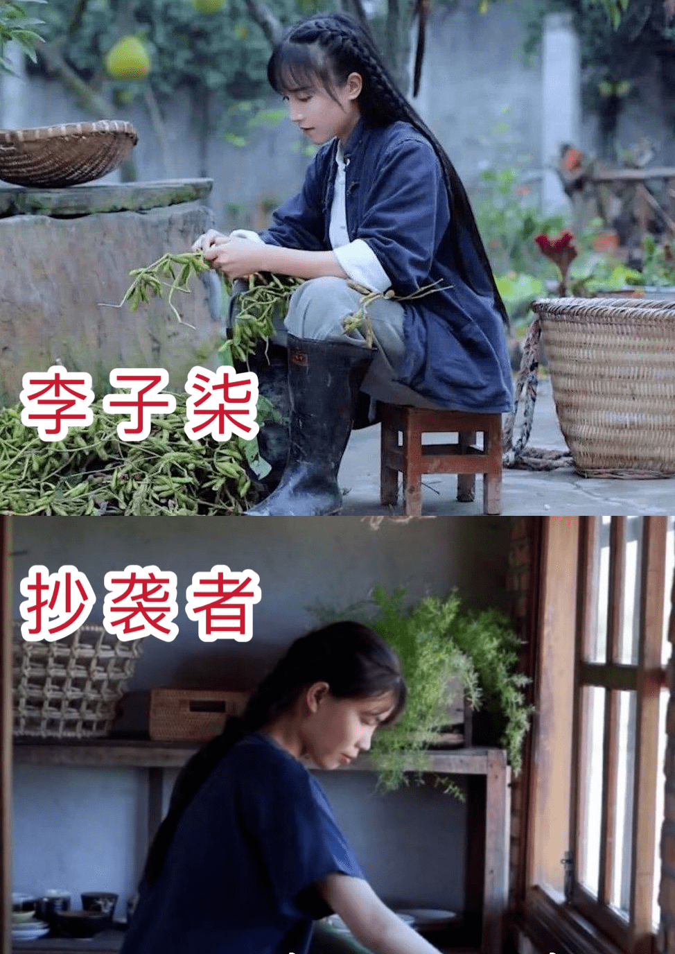 越南博主抄袭李子柒,被千万人点赞:再怎么抄袭,你也是盗版!