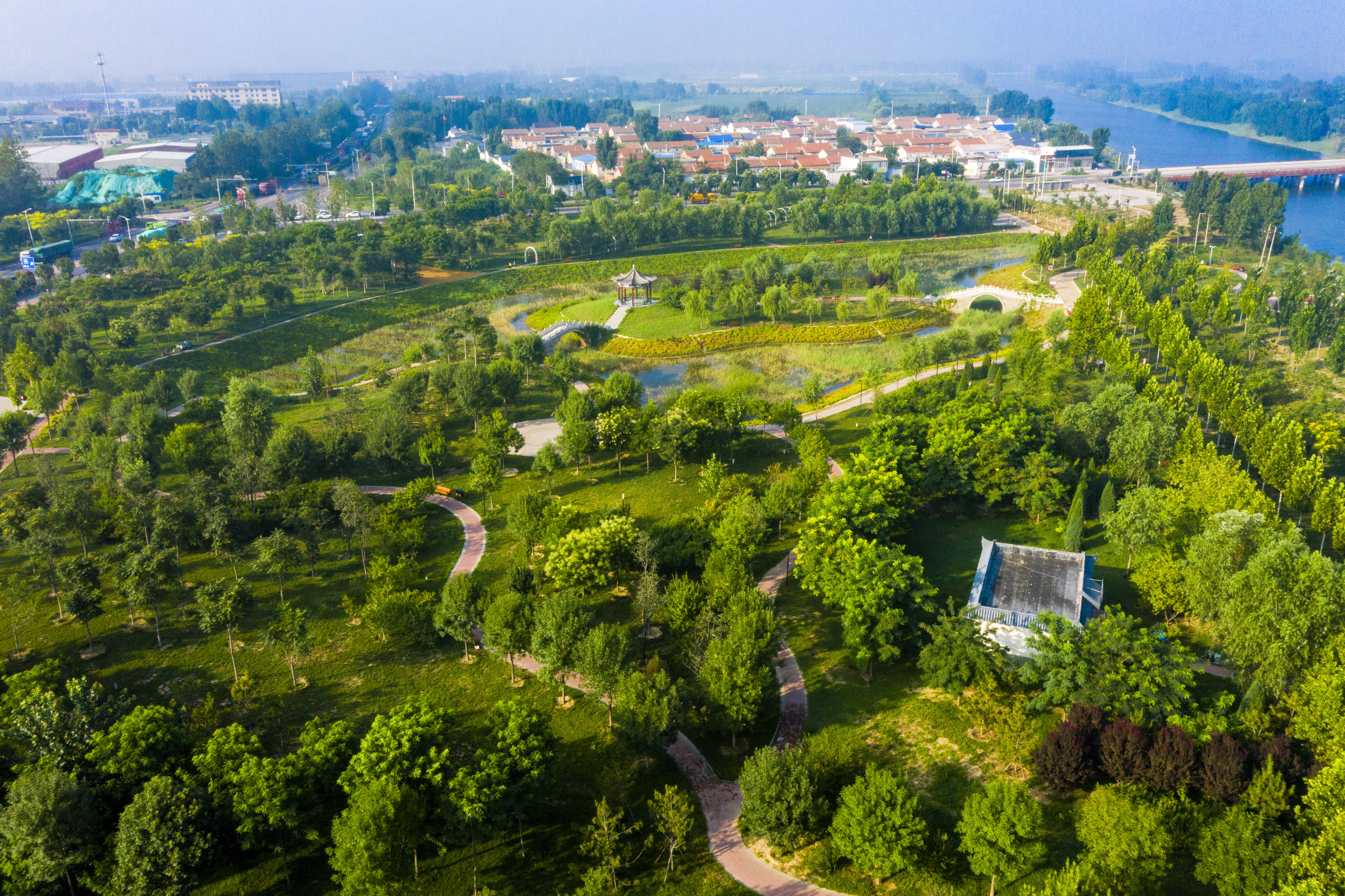 河北武邑:旧河道变身生态公园