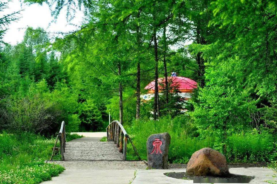 置身泉阳泉国家森林公园,翠柏参天,百鸟争鸣;漫步抚安省级湿地公园