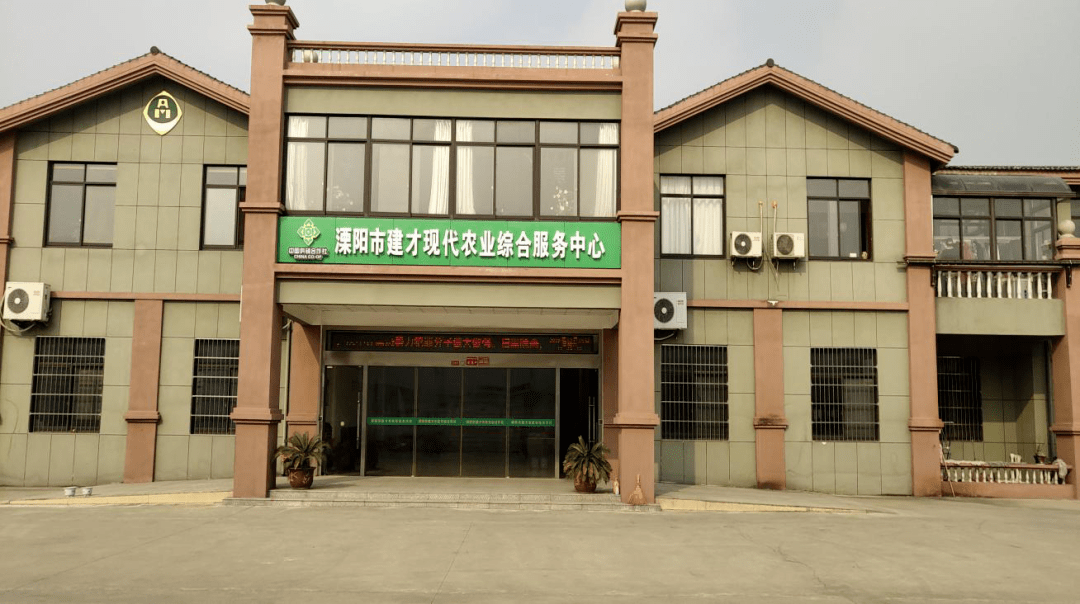 溧阳市供销社多元化服务助力全市生态创新