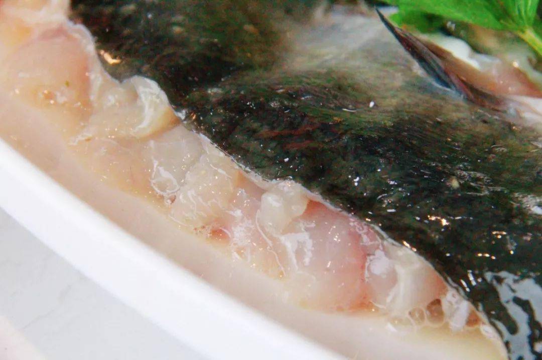 3斤黔鱼 配菜 锅底油碟!极致鲜嫩的鱼,手慢无!