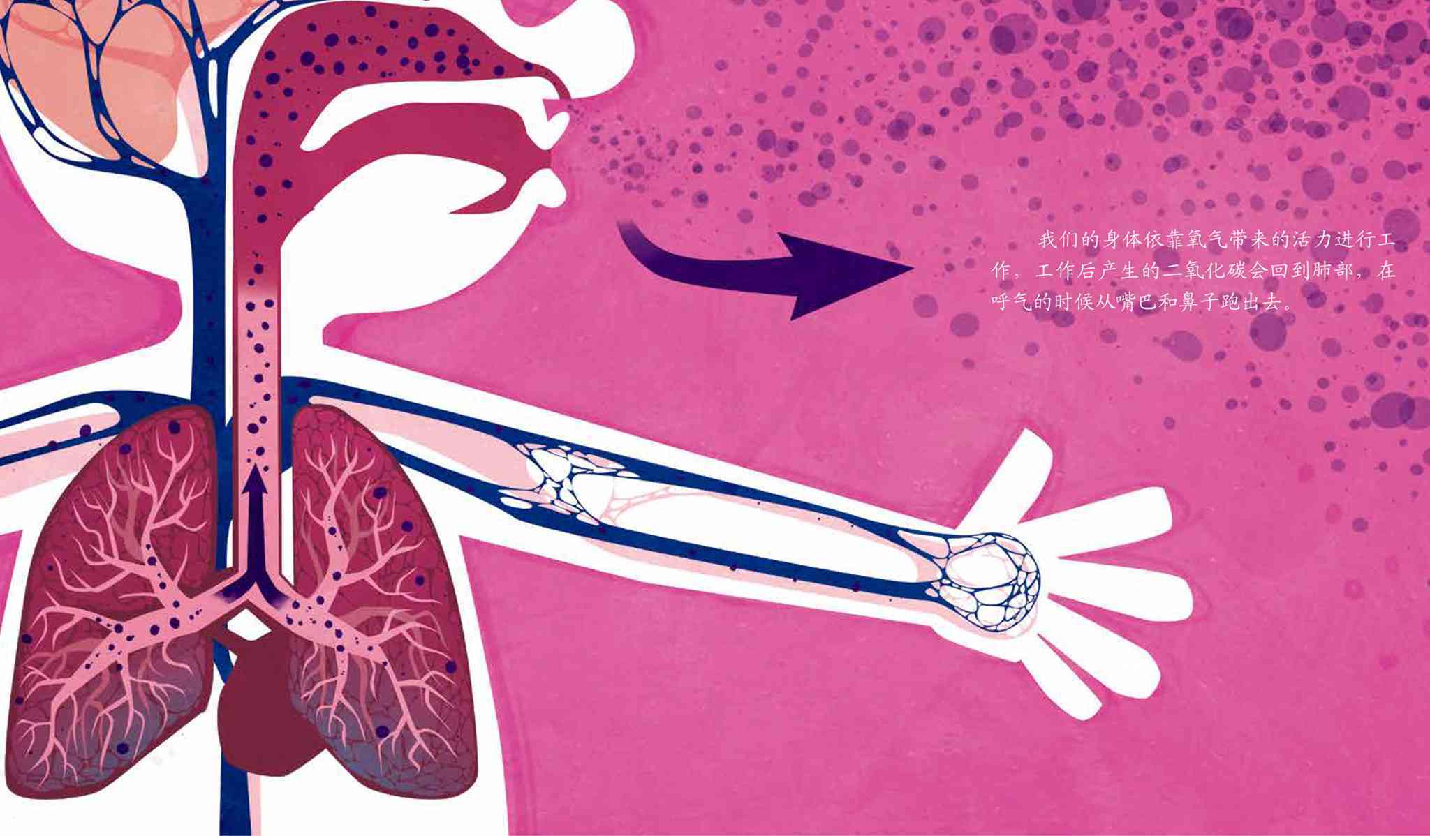 儿童绘本故事推荐《神奇的呼吸》_辅导