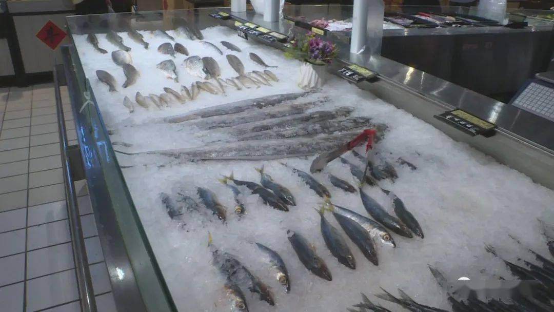 我县开展冷冻冷藏食品防控检查