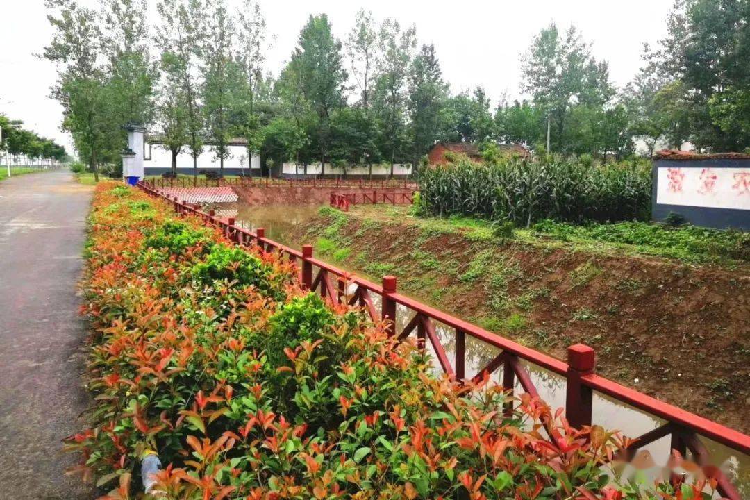 "近日,河南省供销合作总社派驻到驻马店市正阳县熊寨镇农庄村驻村第一