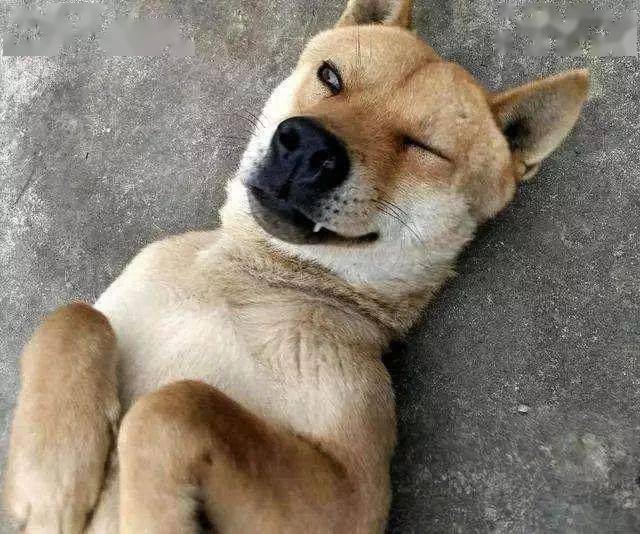 分分钟美哭你!