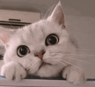 你在发呆吗?(挥挥手)02谁也别想抢走.抱紧我的小熊