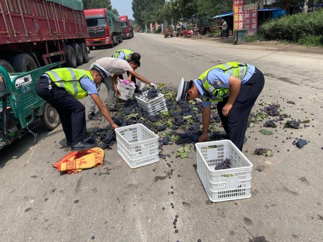 莘县这里发生一起交通逃逸事故,车上葡萄洒落一地