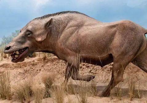 哺乳动物,其体重高达20吨,在千多万年前就生存在亚洲地区的原始森林中
