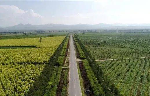 宣化这几条农村道路你走过吗