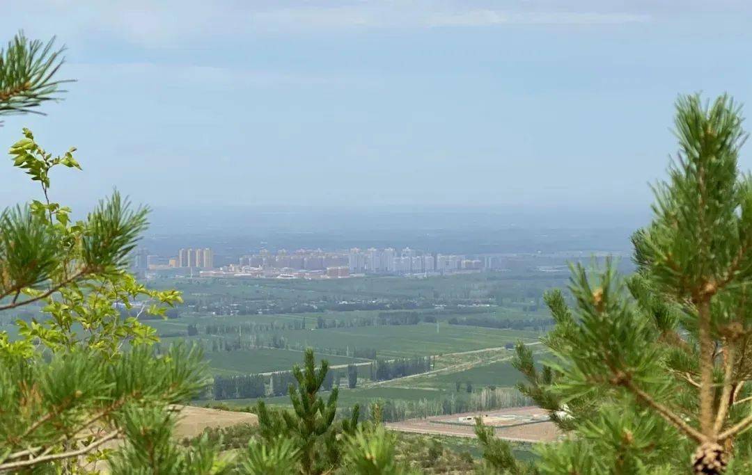 将军山上护林人