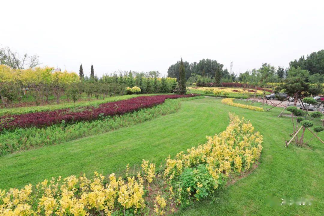 据了解,"双凌协同"是锦州市委市政府的五大重点工程之一,双凌协同发展