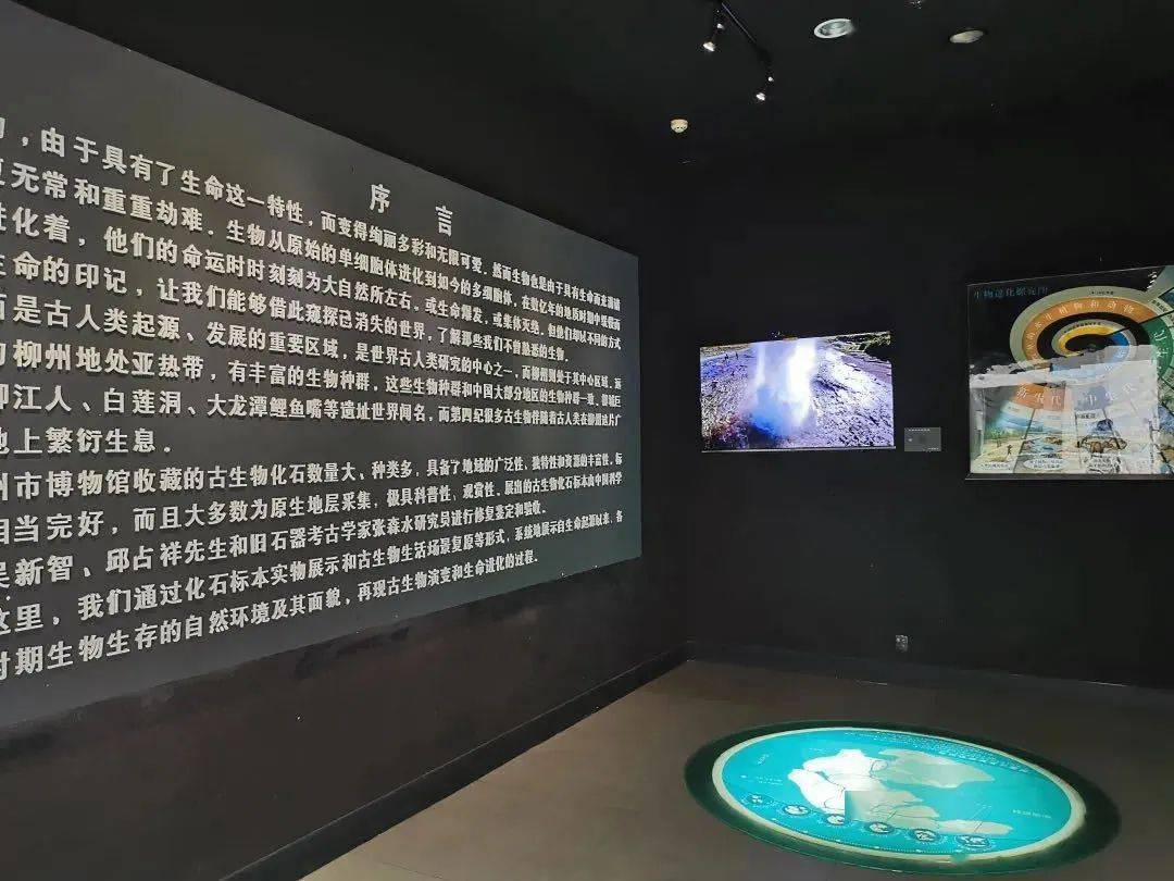 展覽在博物館讀懂柳州生命之旅古生物化石館