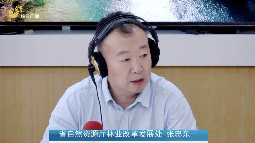 对于这一较低的保险赔付率,山东省林业厅改革发展处二级调研员张忠东