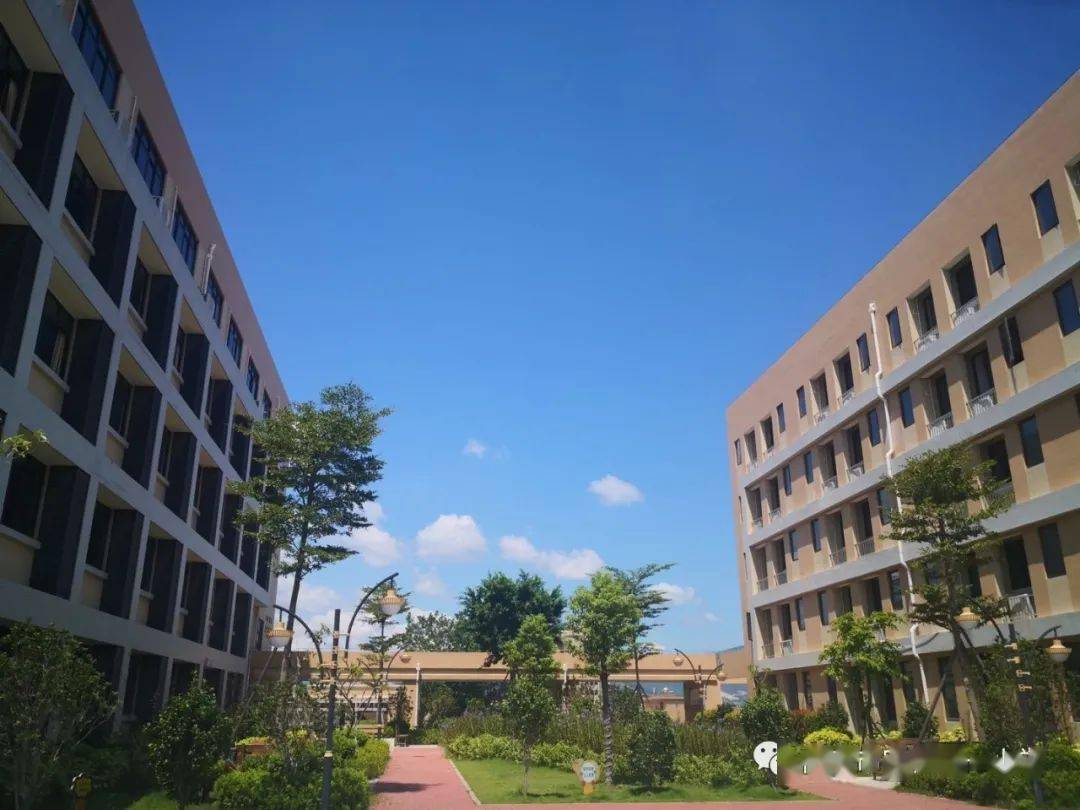 南安市官桥第一小学2020年秋季招生通告