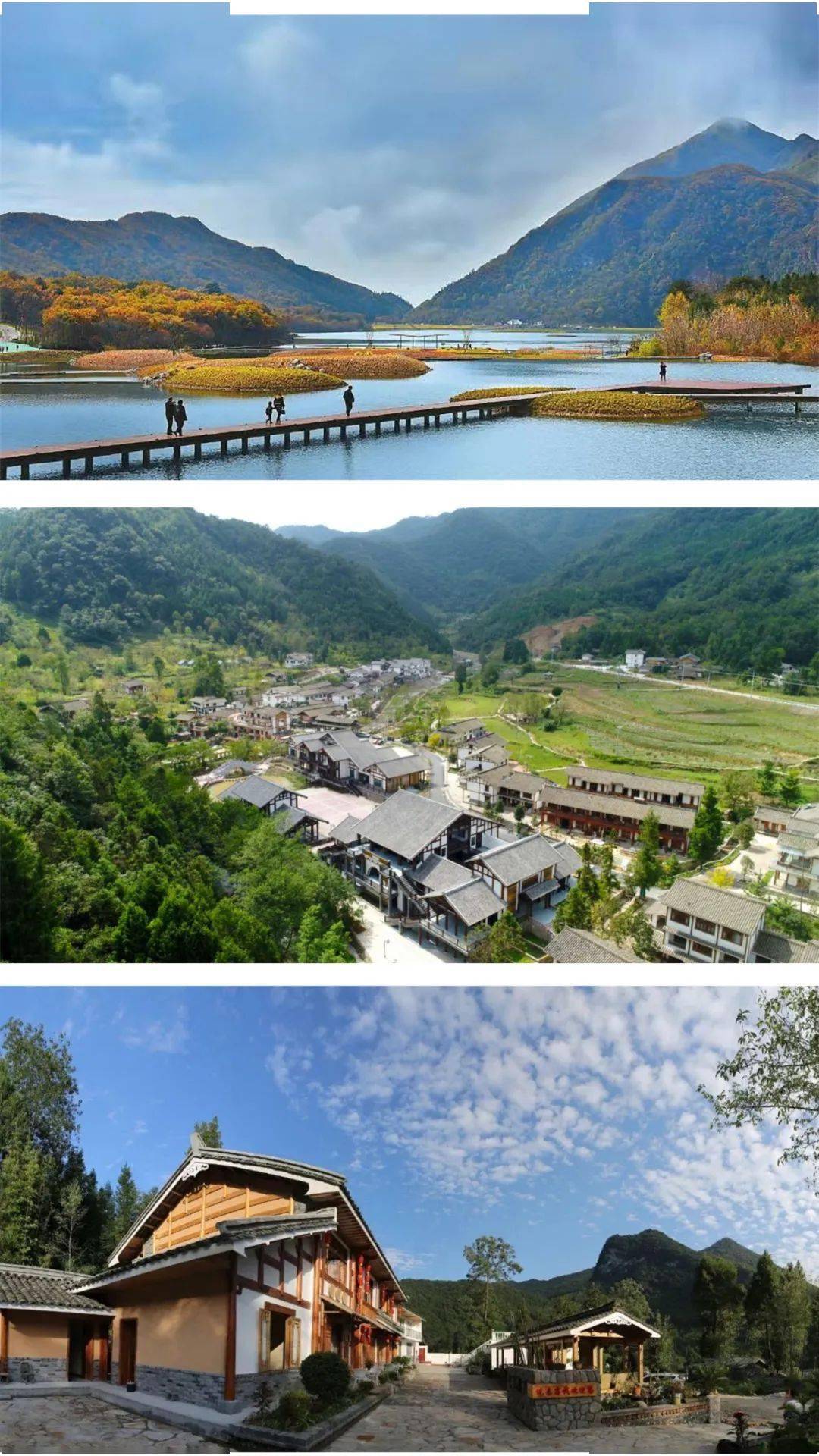 [公益直播课第二讲]《乡村振兴康养月坝》直播预告!